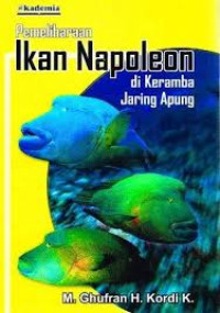 Image of Pemeliharaan Ikan Napoleon Di Keramba Jaring Apung